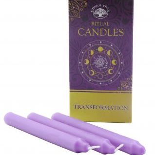 Vela Bujía ritual GREEN TREE Transformación-morado